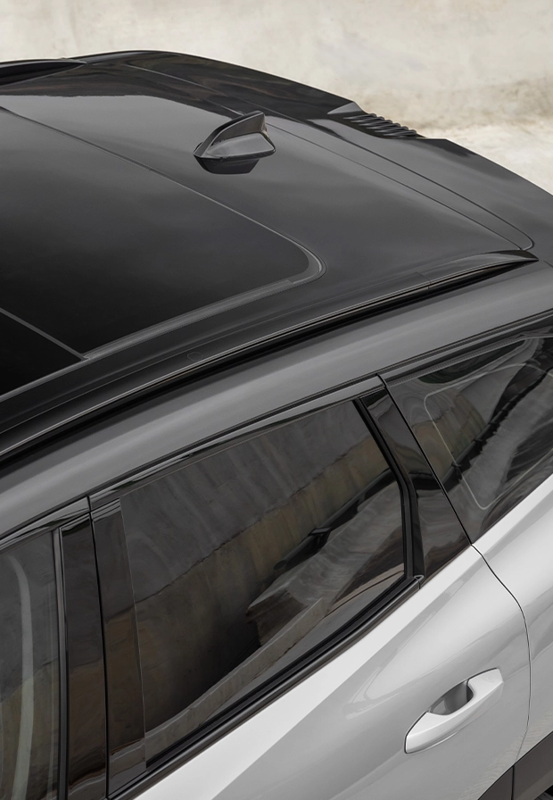 ExteriorStarrayGaleria3